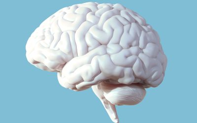 Is Your Brain Sending You Distress Signals? 5 Warning Signs You Shouldn’t Ignore